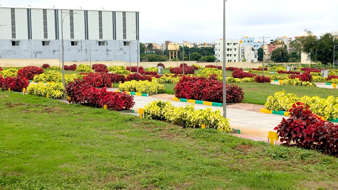 WhatsApp Image 2024-10-16 at 2.06.33 PM (14)