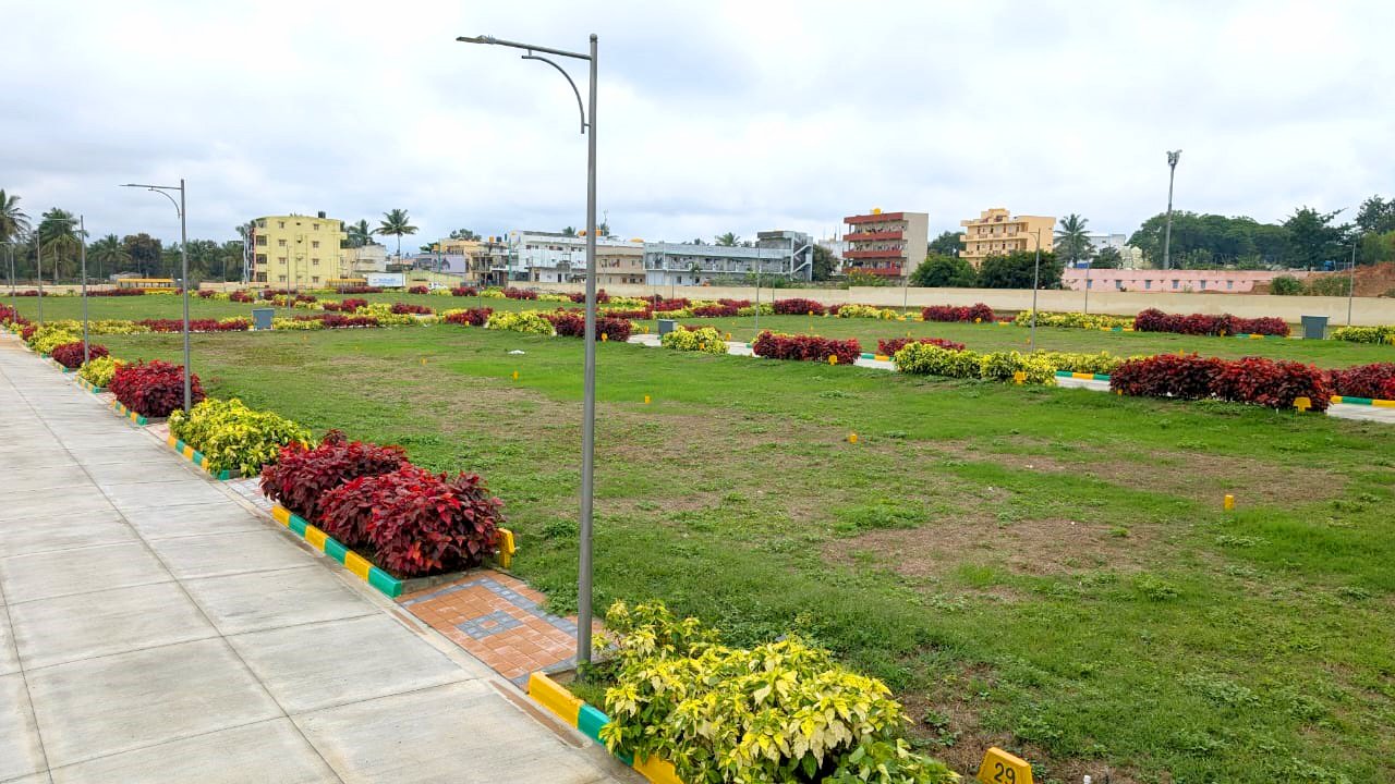 WhatsApp Image 2024-10-16 at 2.06.33 PM (4)