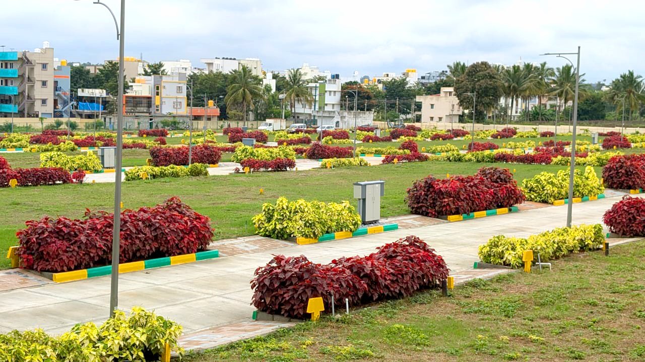 WhatsApp Image 2024-10-16 at 2.06.33 PM (5)