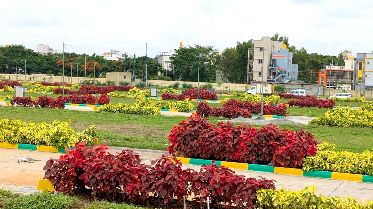 WhatsApp Image 2024-10-16 at 2.06.33 PM (6)