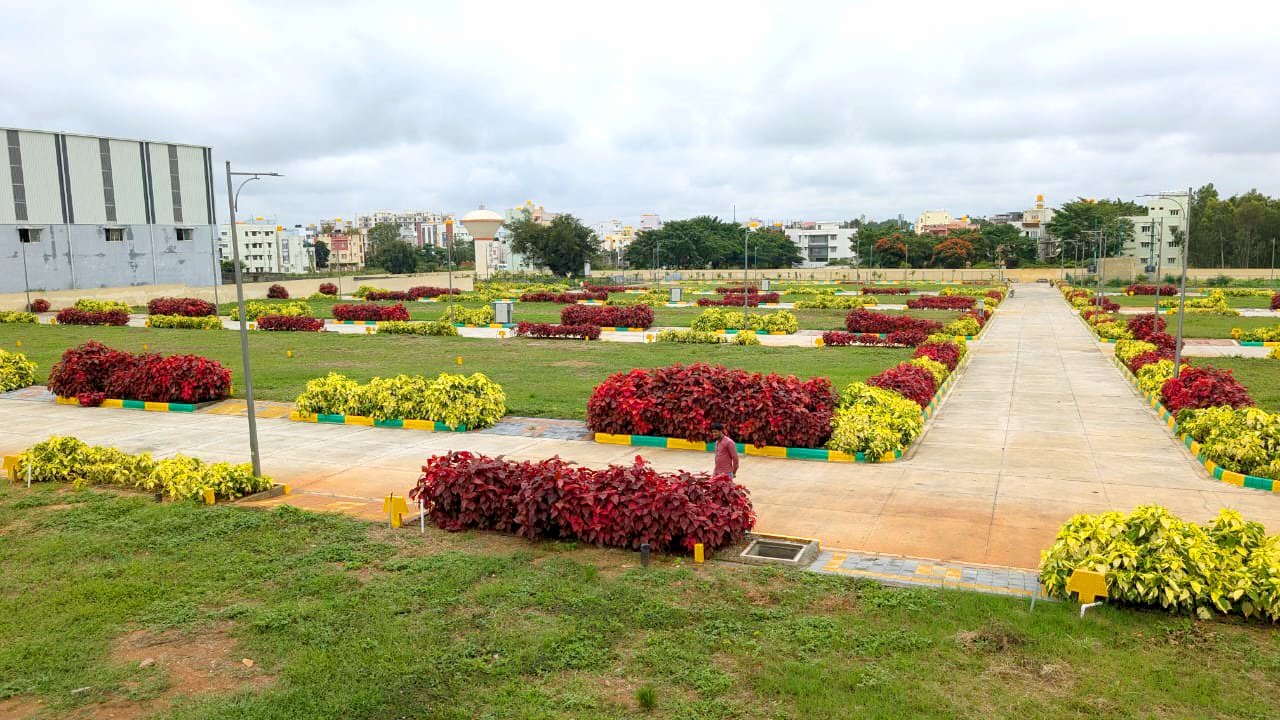 WhatsApp Image 2024-10-16 at 2.06.33 PM (9)